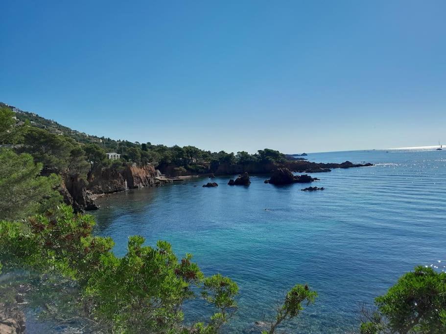 Charmant Studio Lumineux Avec Parking Prive Saint-Raphaël المظهر الخارجي الصورة