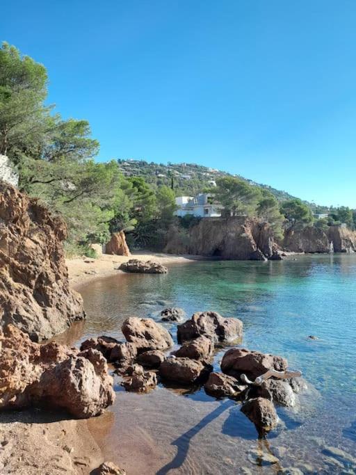 Charmant Studio Lumineux Avec Parking Prive Saint-Raphaël المظهر الخارجي الصورة